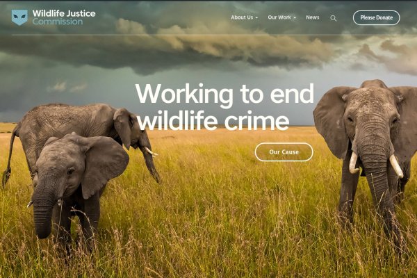 Wildlife Justice Commission, website