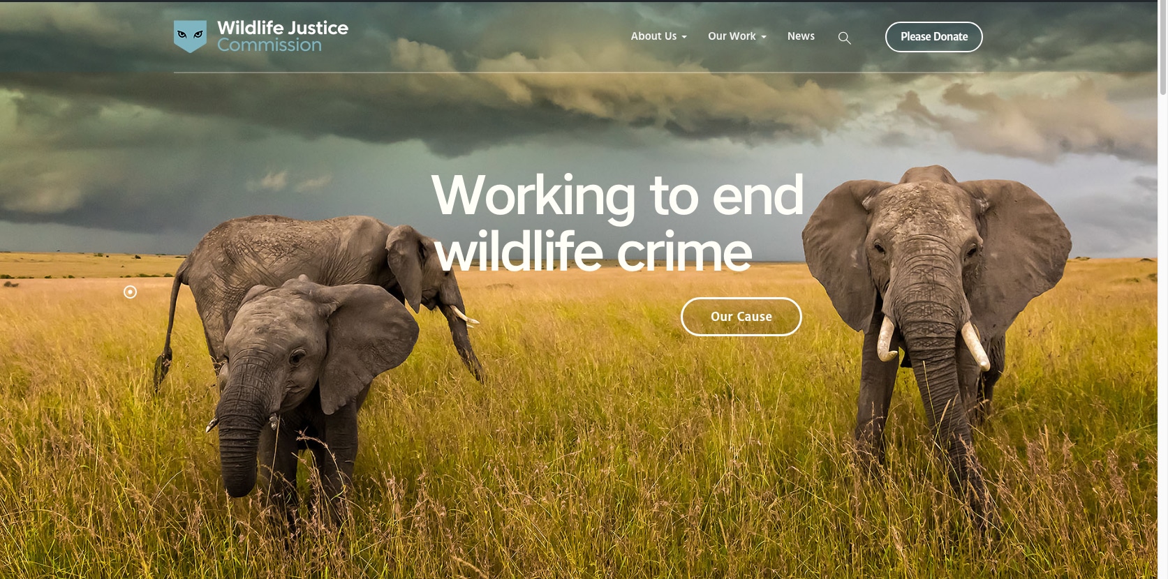 Wildlife Justice Commission, website