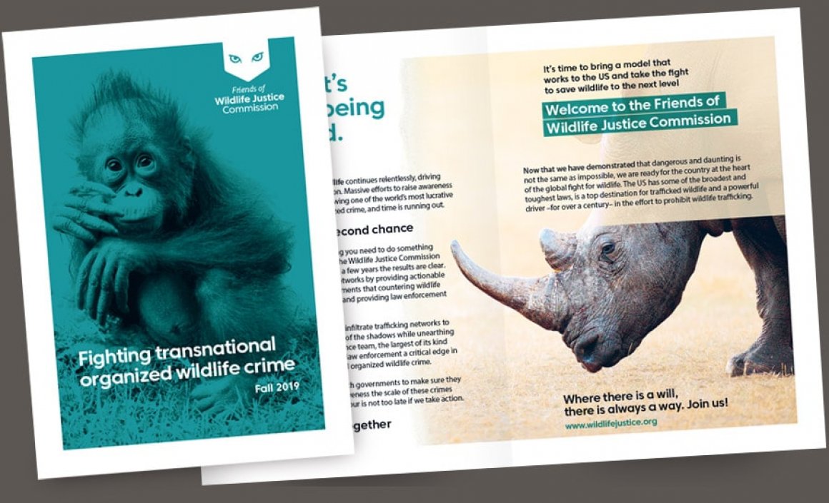 Díptico presentación WJC en Nueva York