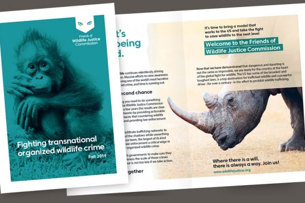 Díptico presentación WJC en Nueva York